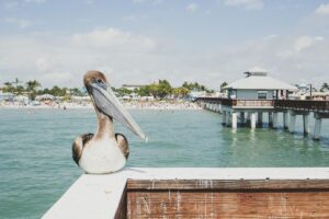 Florida scenic oceanside shot